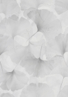 Tapeta Elysium, GINKO white