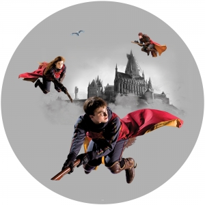 Samolepící fototapeta HARRY POTTER